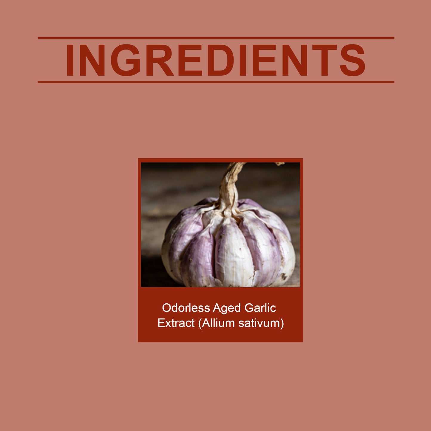 Daily Garlic Vitality Boost Softgels